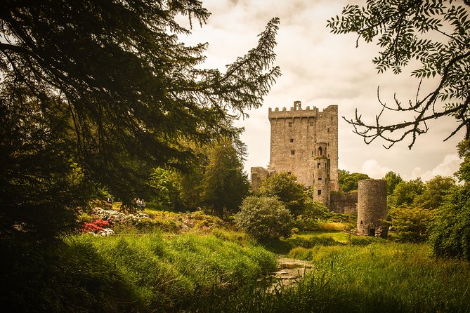 Dublin to South West 5 Day Small-Group Tour with Accommodation - Accommodation, meals, and daily comfort
