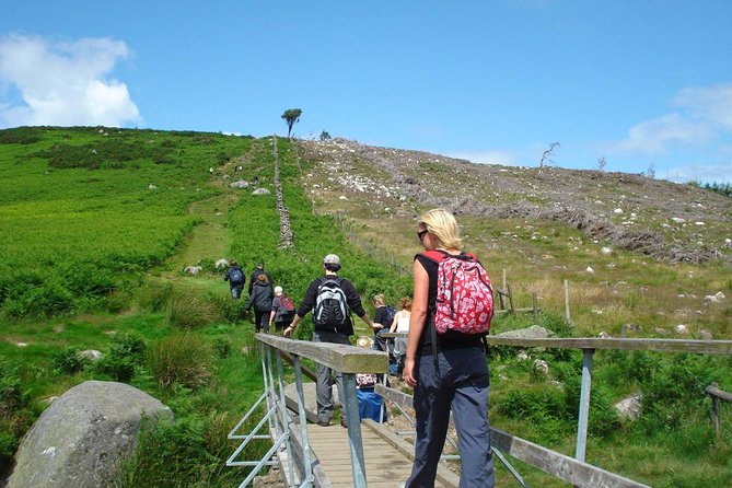 Dublin to Wicklow, Glendalough Small Group Tour with Guided Walk - Scenic roads through Wicklow National Park