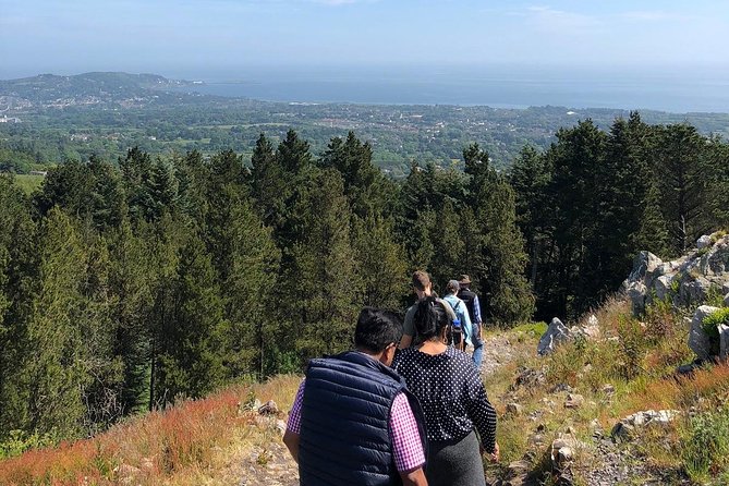Dublin to Wicklow, Glendalough Small Group Tour with Guided Walk - Who should book this Wicklow day trip
