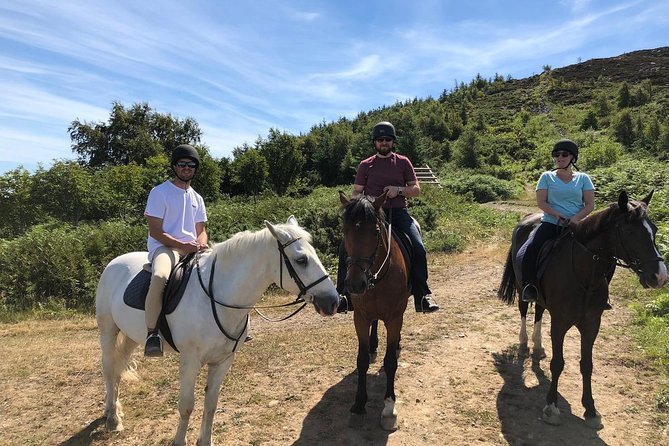 Dublin to Wicklow, Glendalough Small Group Tour with Horse Riding - Enniskerry gives you a short lunch break
