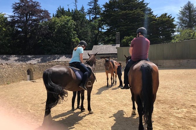 Dublin to Wicklow, Glendalough Small Group Tour with Horse Riding - Sally Gap adds more mountain scenery