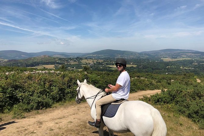Dublin to Wicklow, Glendalough Small Group Tour with Horse Riding - Transport from Dublin keeps the day simple