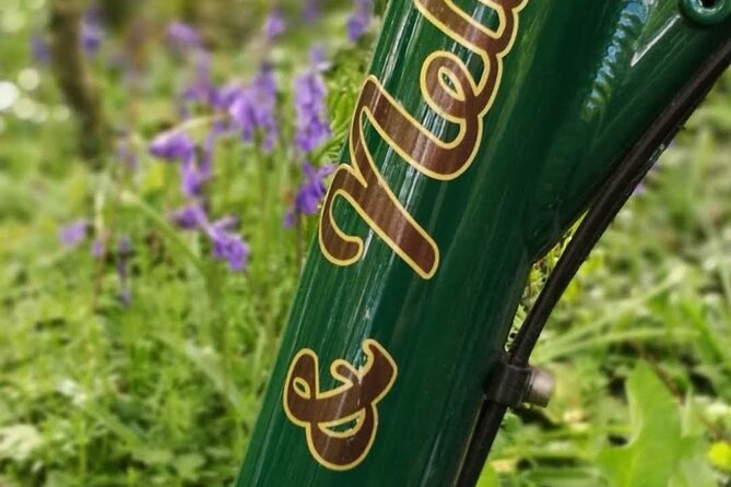 E-Bike Cycle Greenway - Westport To Achill Island Atlantic coast - Who will enjoy this ride most