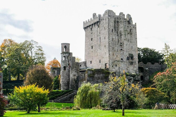 Easy Access Blarney Stone and Castle Gardens Tour - Key points to know before booking