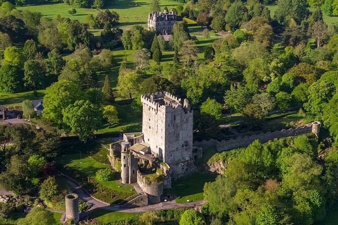 Easy Access Blarney Stone and Castle Gardens Tour - What guides such as Ann and Maryna add