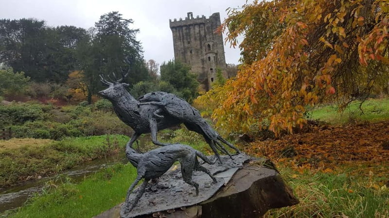 Easy Access - The Blarney Stone & Castle Gardens Tour - How the guides affect the experience