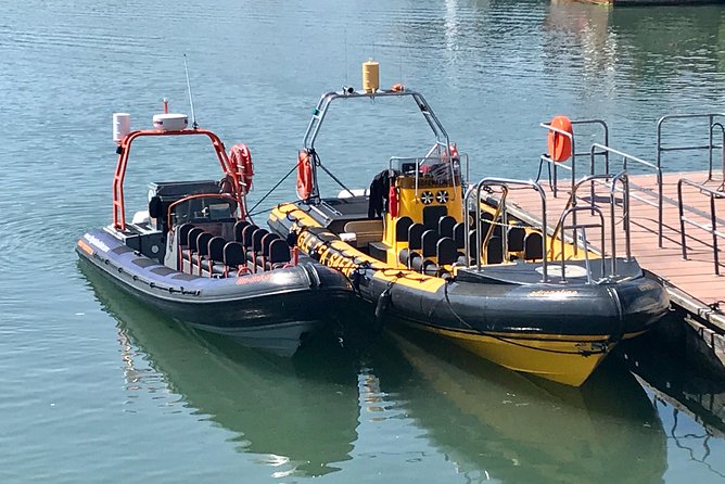 Exhilarating Rib experience - Dingle sea safari - Why the small group improves the experience