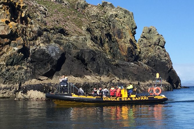Exhilarating Rib experience - Dingle sea safari - The captains add local color