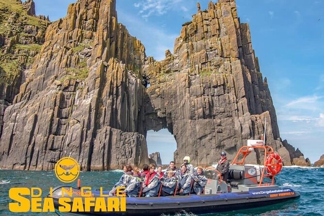 Exhilarating Rib experience - Dingle sea safari - What the $120.93 price really buys you
