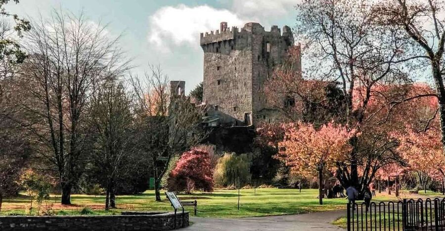 From Cork: County Cork Highlights Tour with Entrance Tickets - Why this Cork day trip works