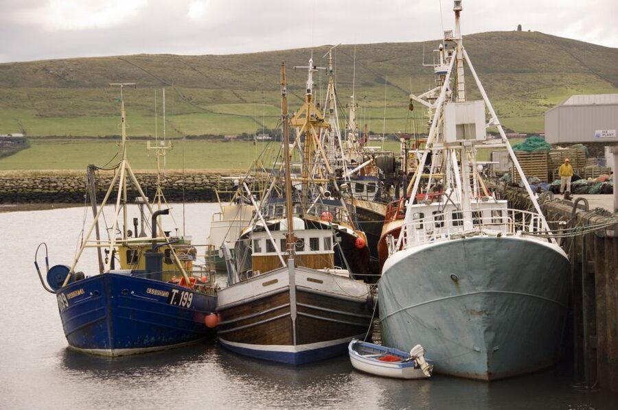 From Cork: Full-Day Guided Tour to Dingle Peninsula - Guides Shape the Feel of the Day
