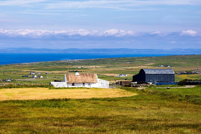 From Dublin: Cliffs of Moher, Bird of Prey & Aillwee Cave - Seeing the Cliffs of Moher from the top