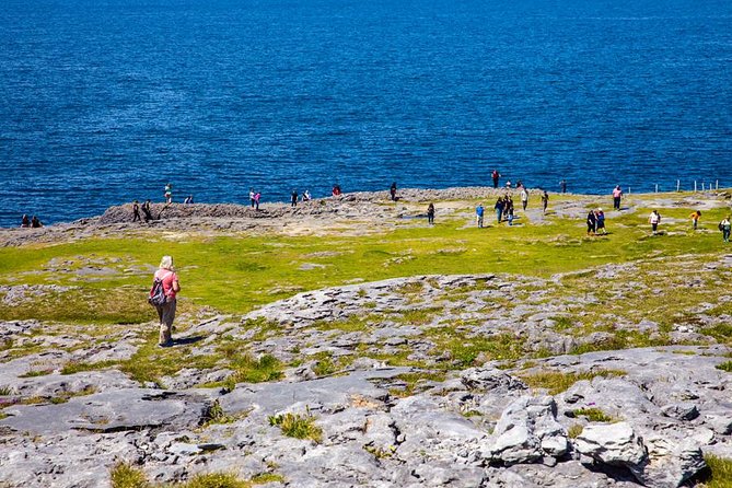 From Dublin: Cliffs of Moher, Bird of Prey & Aillwee Cave - Is $126.15 a fair price?