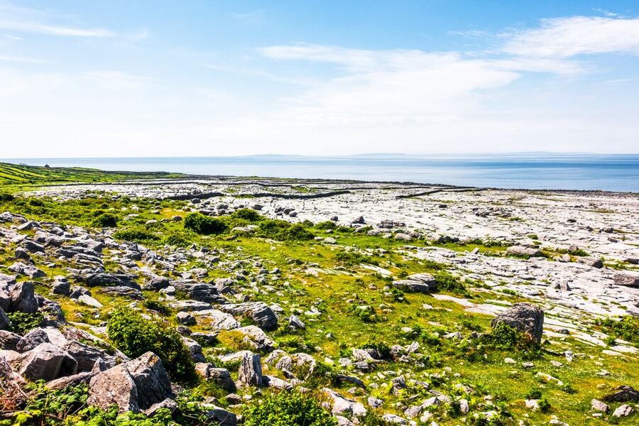 From Dublin: Cliffs of Moher, Burren & Galway City Day Tour - The Burren, where the ground turns to stone