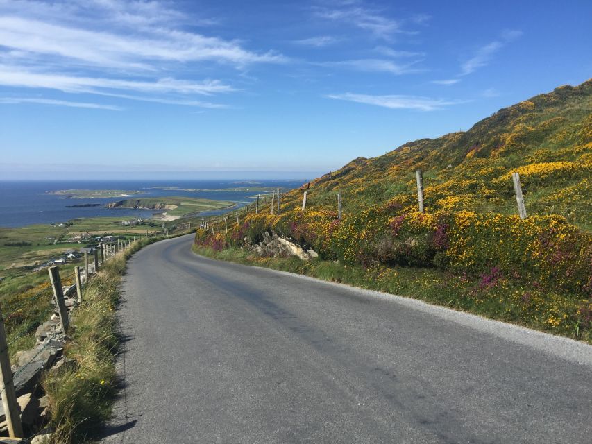 From Dublin: Connemara and Galway Bay Day Tour - Why this day trip works from Dublin