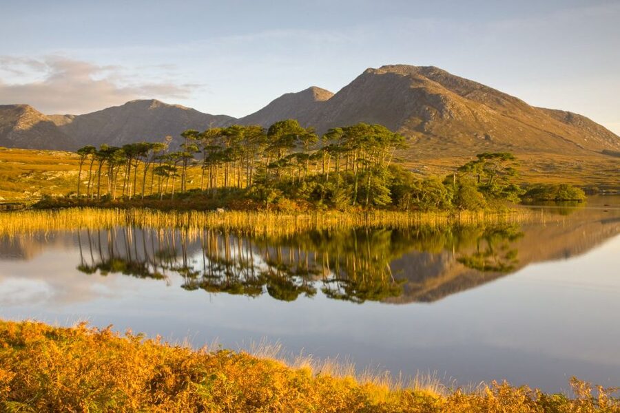 From Dublin: Connemara and Galway Full-Day Tour - Along Galway Bay toward the city