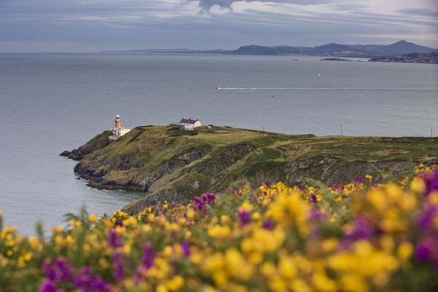 From Dublin: Half-Day Guided Coastal Tour to Howth Village - Key points to know before you book