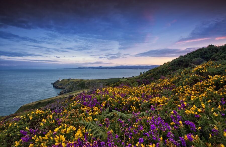 From Dublin: Half-Day Guided Coastal Tour to Howth Village - Why Howth makes a smart half-day escape from Dublin
