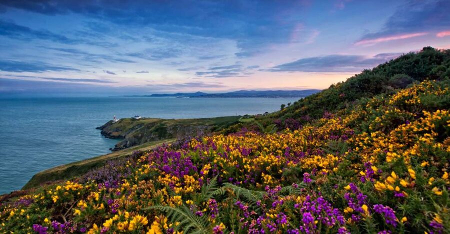 From Dublin: Half-Day Guided Coastal Tour to Howth Village - The Howth Summit view and the one-hour cliff walk