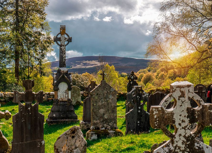 From Dublin: Half-Day Trip to Glendalough and Wicklow - Wildlife and film connections
