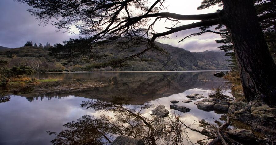 From Dublin: Wicklow Mountains, Glendalough & Kilkenny Tour - At a glance