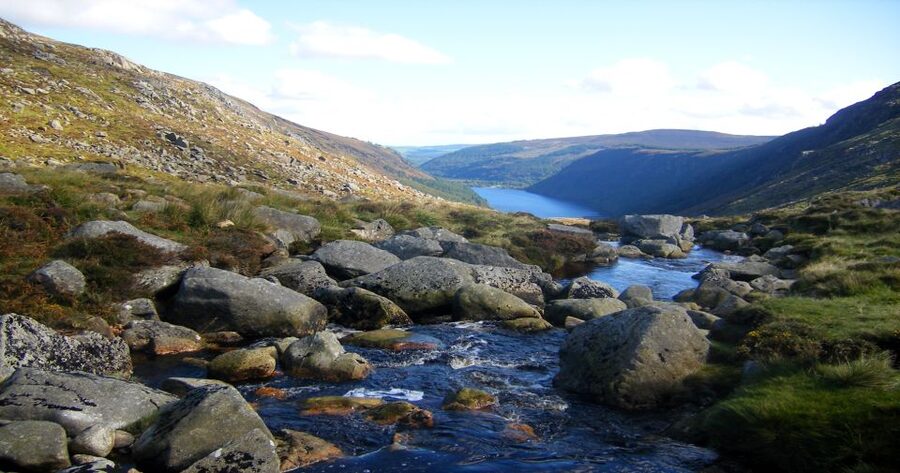 From Dublin: Wicklow Mountains, Glendalough & Kilkenny Tour - The guides shape the day