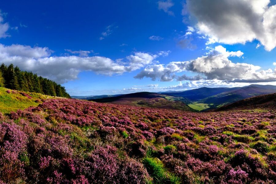 From Dublin: Wicklow Mountains, Glendalough & Kilkenny Tour - Leaving Dublin and heading south
