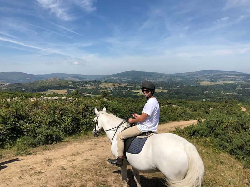 From Dublin: Wicklow, Powerscourt, and Glendalough Day Tour - Enniskerry gives you a proper lunch break