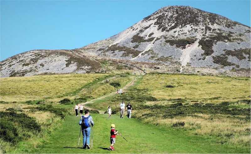 From Dublin: Wicklow, Powerscourt, and Glendalough Day Tour - Sally Gap and Lough Tay: the scenic heart of the route