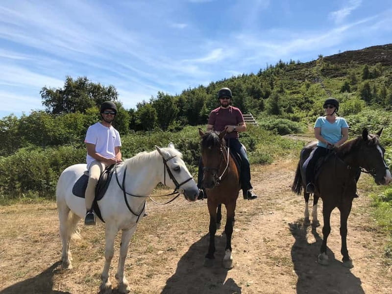 From Dublin: Wicklow, Powerscourt, and Glendalough Day Tour - The guide can make or break the day