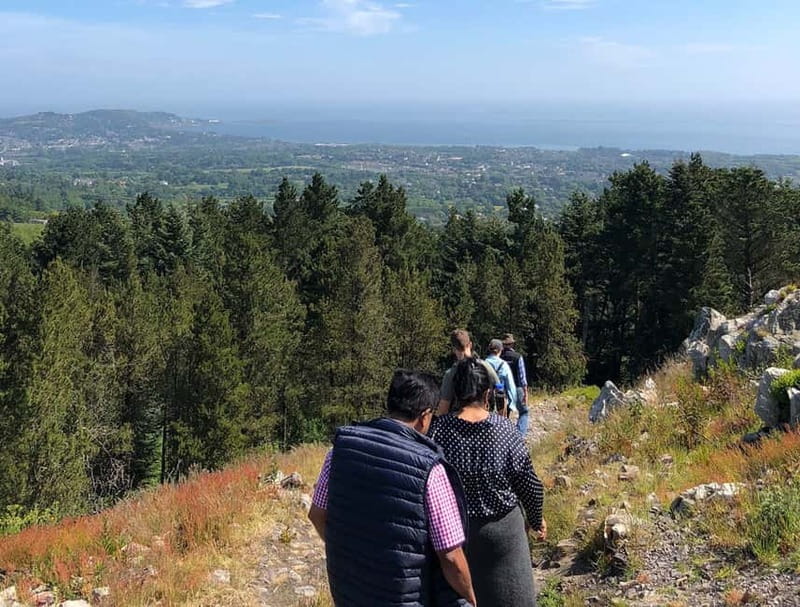 From Dublin: Wicklow, Powerscourt, and Glendalough Day Tour - Transport, timing, and the value of $74