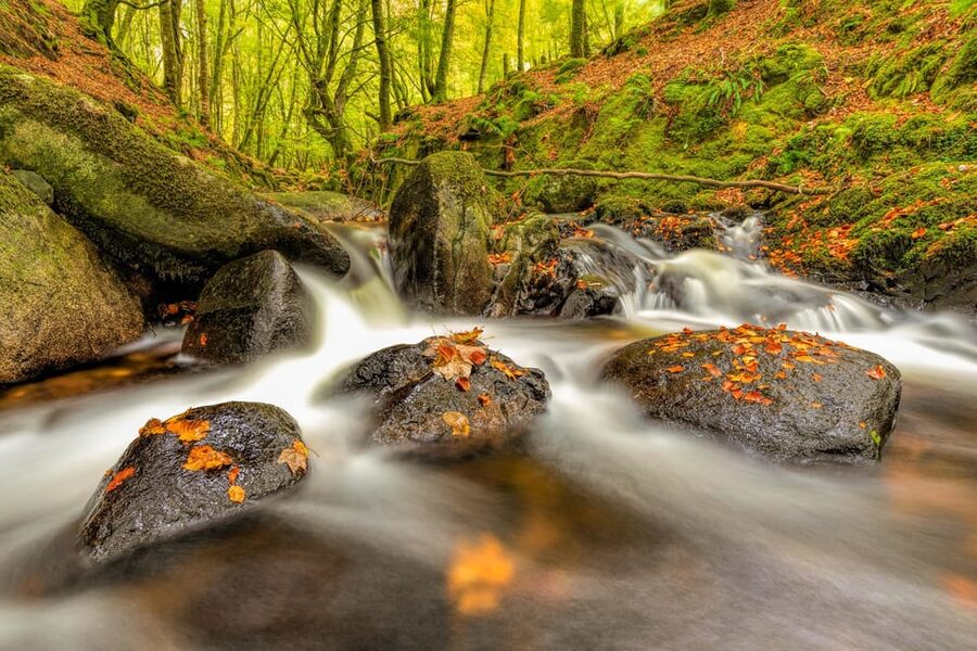 From Dublin: Wild Wicklow Mountains and Glendalough Tour - The guides make a real difference