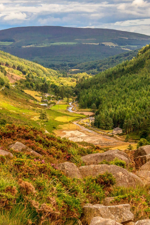 From Dublin: Wild Wicklow Mountains and Glendalough Tour - Why this is one of Dublin’s best countryside day trips