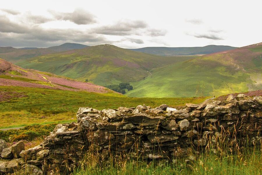 From Dublin: Wild Wicklow Mountains and Glendalough Tour - The return through Sugarloaf country