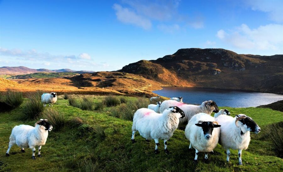 From Galway: Castles of Connemara Full-Day Tour - Why this Connemara day trip works