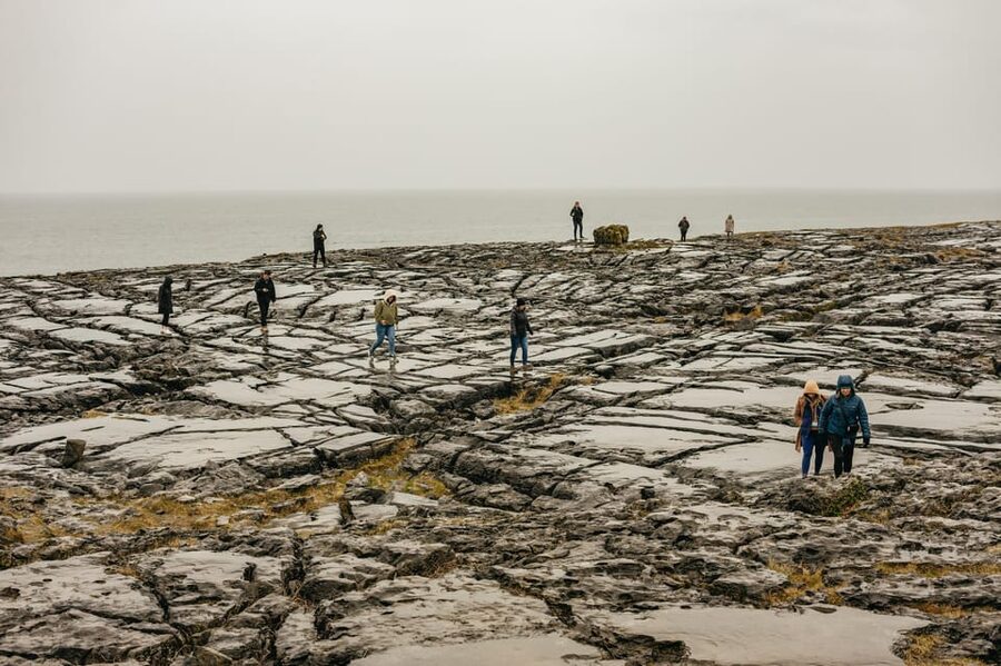 From Galway: Cliffs of Moher and The Burren Guided Day Trip - Key points at a glance
