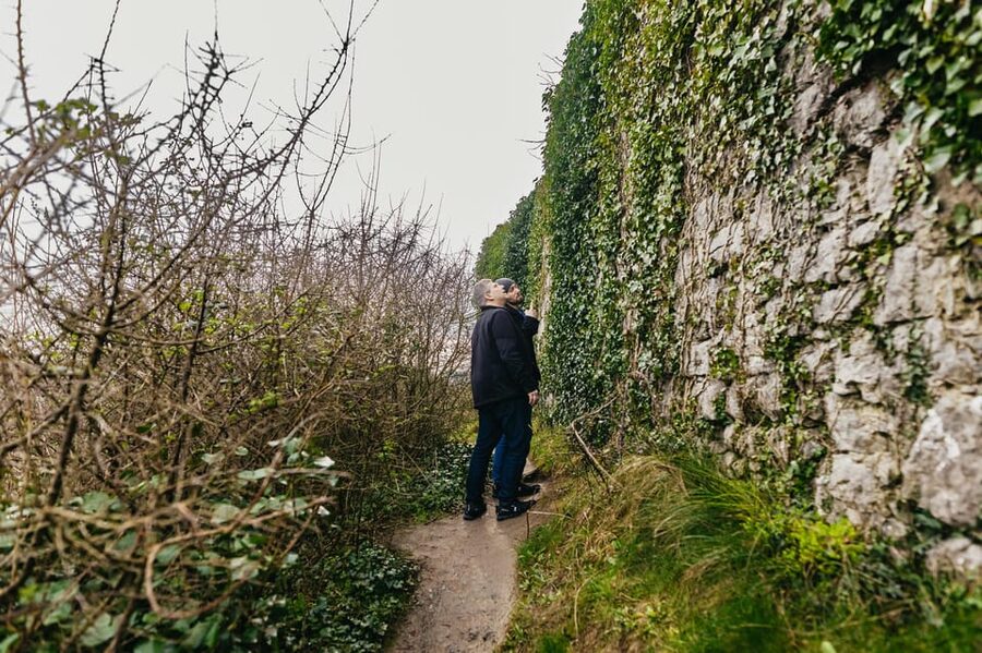 From Galway: Cliffs of Moher and The Burren Guided Day Trip - Bus comfort, timing, and practical preparation