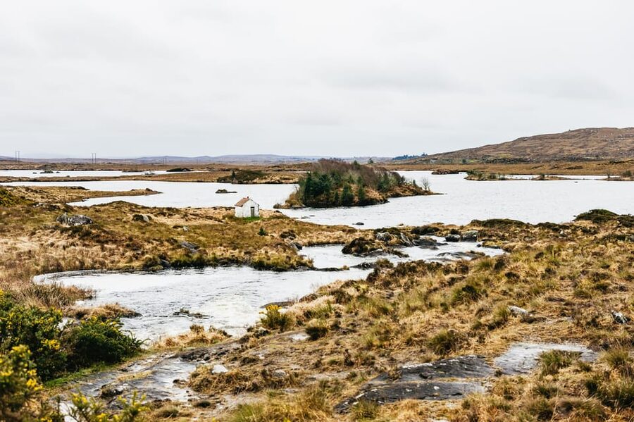From Galway: Connemara and Connemara National Park Day Trip - Recess and the return to Galway