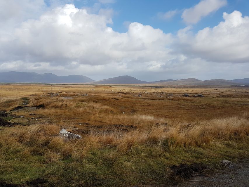 From Galway: Connemara and Kylemore Abbey Day Tour - Through Inagh Valley and the Twelve Bens