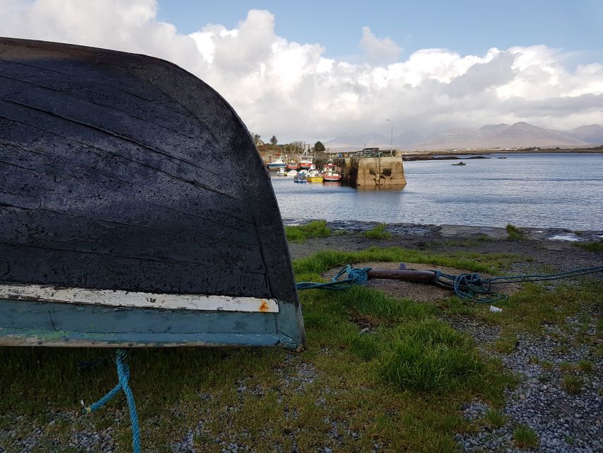 From Galway: Connemara and Kylemore Abbey Day Tour - Guides, buses, and the value of the day