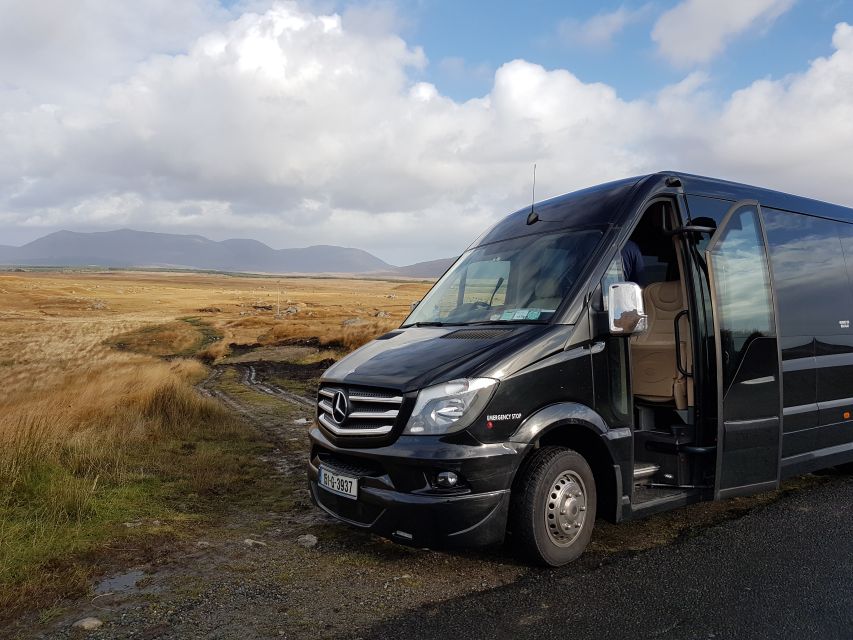 From Galway: Connemara and Kylemore Abbey Day Tour - Who should book this Connemara day tour?