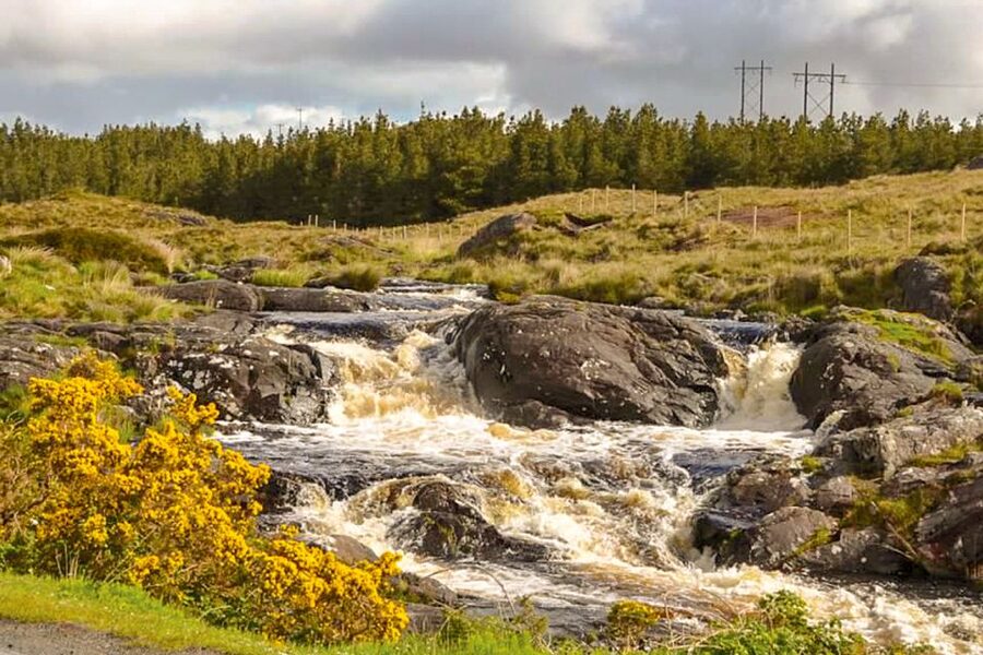 From Galway: Connemara & Kylemore Abbey Full-Day Guided Tour - Two hours at Kylemore Abbey