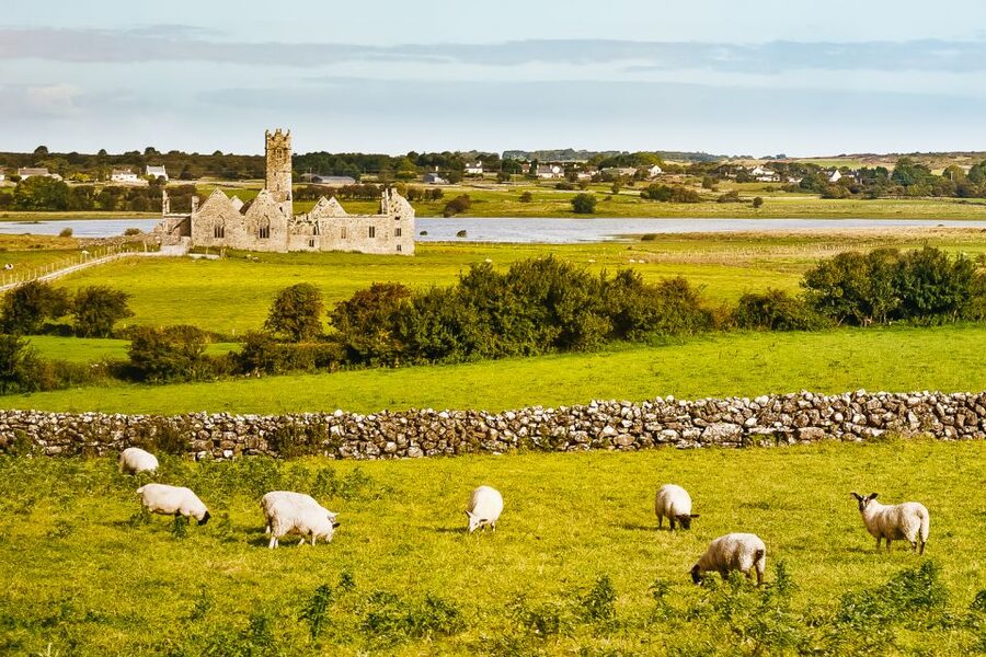 From Galway: Connemara & Kylemore Abbey Full-Day Guided Tour - An Spideal and the Atlantic coast