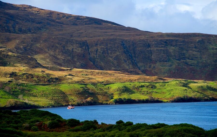 From Galway: Connemara National Park Full Day Tour - The guides make the long drive worthwhile