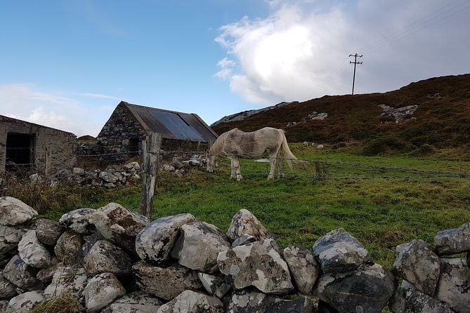 From Galway: Guided tour of Connemara with 3 hour stop at Connemara National Pk. - Coach comfort, food, weather, and timing