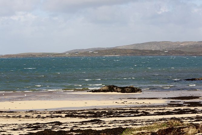 From Galway: Guided tour of Connemara with 3 hour stop in Kylemore Abbey - Is $60.49 good value?