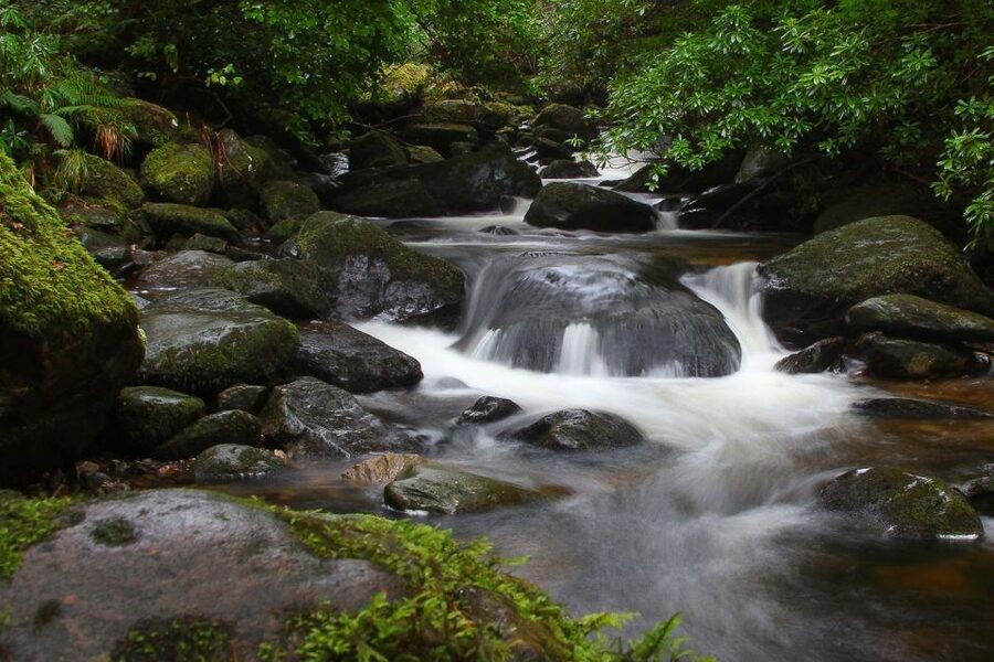 From Killarney: Ring of Kerry Full-Day Tour - Key points to know before booking