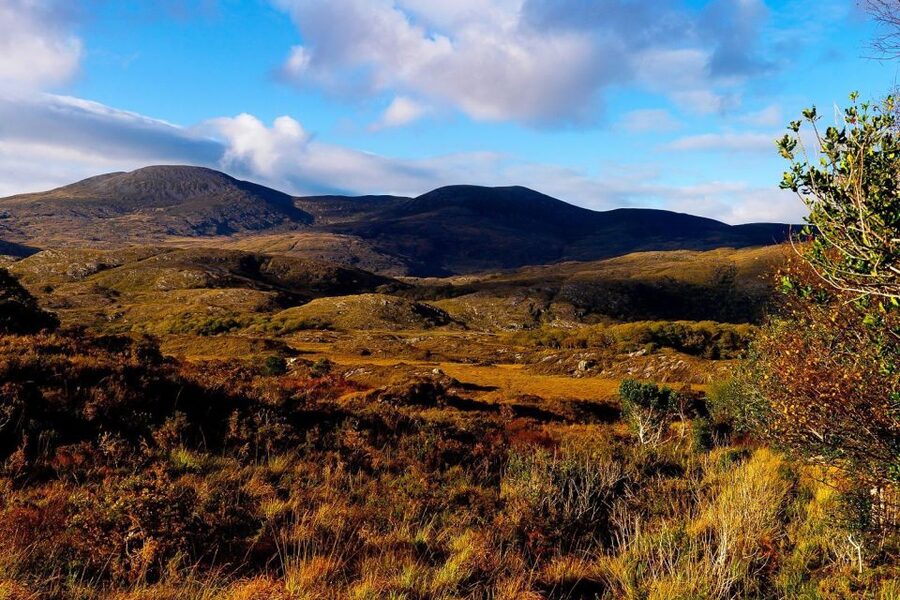 From Killarney: Ring of Kerry Full-Day Tour - The guide can make or break the day