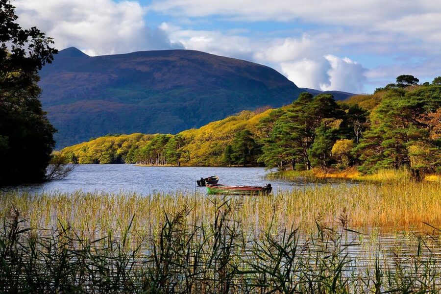 From Killarney: Ring of Kerry Full-Day Tour - Killorglin, Puck Fair, and the first coastal views