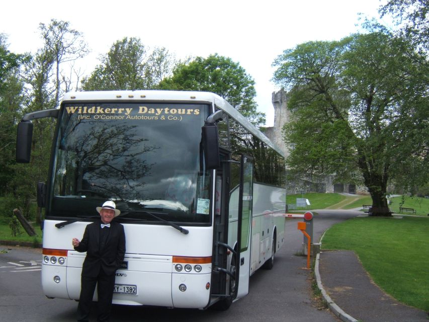 From Killarney: 'Ring of Kerry' Mountain Road 1-Day Bus Tour - Coastal roads and Dingle Bay views